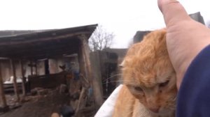 VLOG Даша осталась дома, А я уехала одна