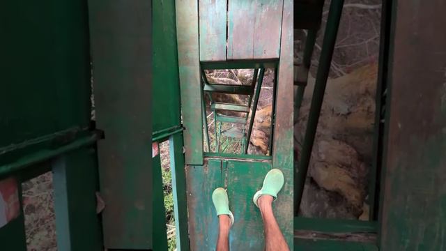Дом на дереве по наблюдению за дикими животными в национальном парке Catigao