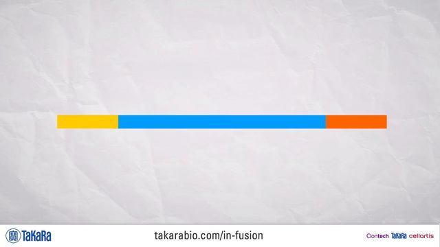 In-Fusion® Cloning mechanism смотреть онлайн