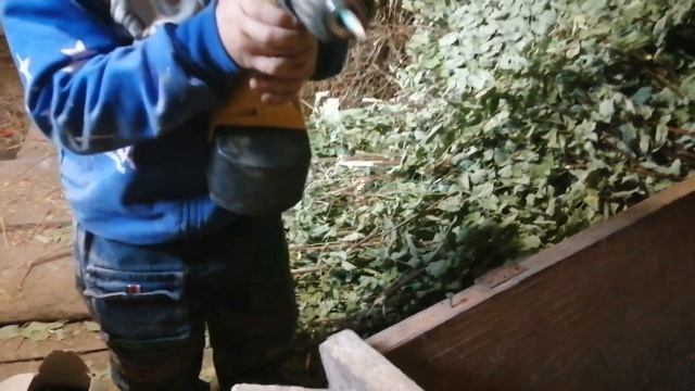 ?Дом в деревне, дом для цыплят смотреть онлайн