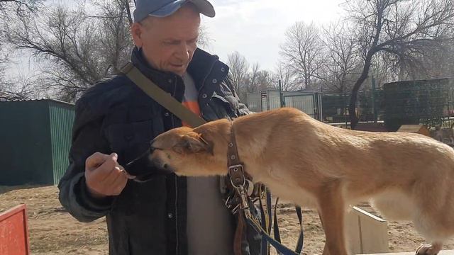 22.03.2023 г. Новая воспитанница и Шурик на площадке. смотреть онлайн