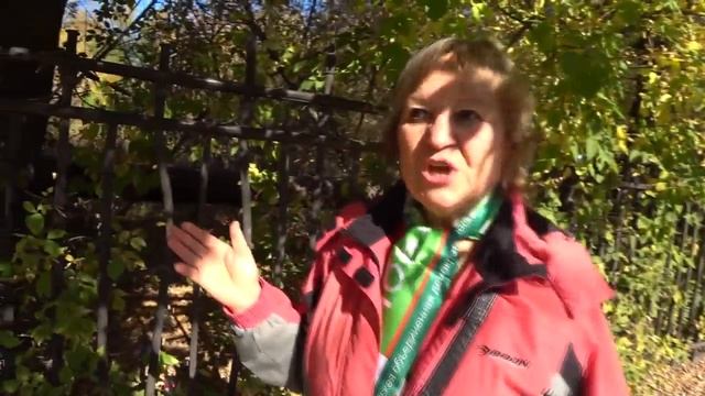 Пенсионный Фонд России и Лента против больниц и парков смотреть онлайн