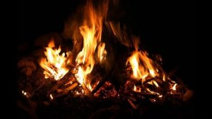 Его же посадят за мёртвых детей