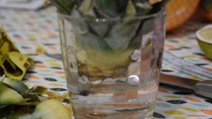 УКОРЕНЕНИЕ ВЕРХУШКИ АНАНАСА. Как укоренить верхушку ананаса с магазинного плода