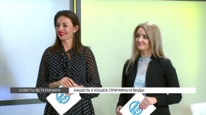 Кашель у кошек: причины и помощь