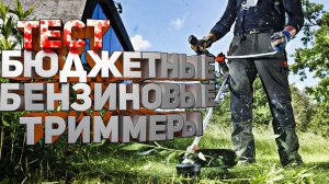 Тест бюджетных бензиновых триммеров Ч. 2. ПРАКТИКА