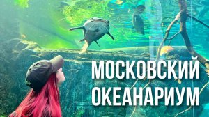 Поход В МОСКОВСКИЙ ОКЕАНАРИУМ. Чуть не упала в бассейн с рыбами ?