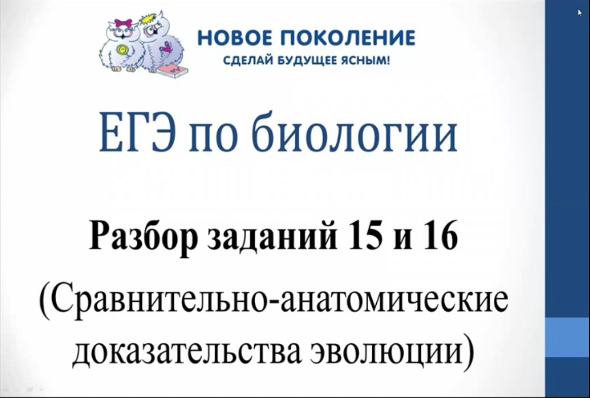 Биология. Разбор 15 и 16 заданий ЕГЭ. Сравнительная анатомия