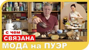 МОДА НА ПУЭР. Почему китайский чай популярен