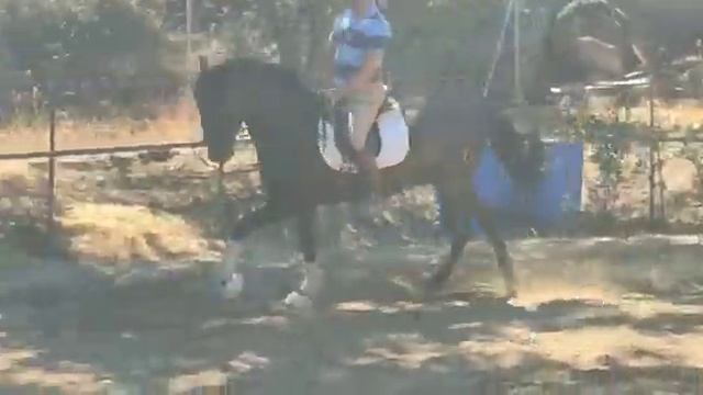 Кличка Амазомико смотреть онлайн