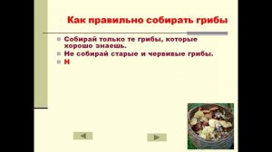 презентация грибы 3 класс