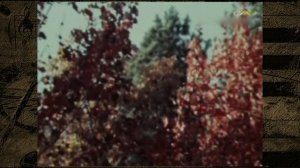 Дмитро Гнатюк - Журавлі (Чуєш, брате мій?)