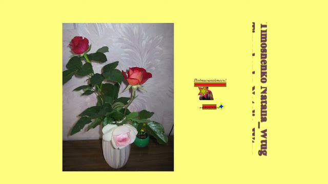 #Цветы  #музыка 20|02|2024 #Проведёмчасысчастьявместе |96|