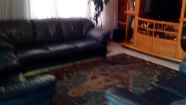 3.0 Bedroom Residential For Sale in Protea North, Soweto, South Africa for ZAR R 790 000 смотреть онлайн