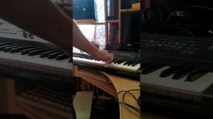 самодельный стиль Roland GW-8