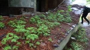 Гигантский заброшенный бассейн в Кисловодске