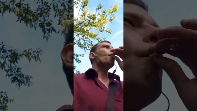 Возраст  Христа.. смотреть онлайн