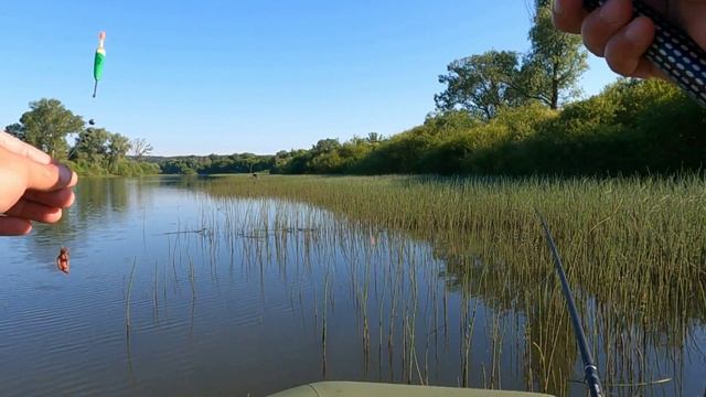 ДИКИЕ КАРАСИ В ХВОЩЕ ! Гнут удилище !! смотреть онлайн