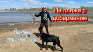 На пляже с доберманом