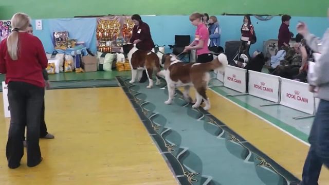 00025.MTS смотреть онлайн