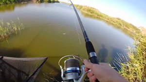 Варим пшено для рыбалки.Рыбалка.Fishing