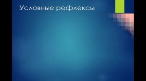 Врожденные и приобретенные программы поведения