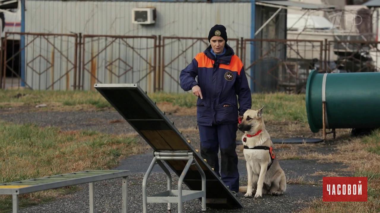 МЧС. Кинологи. Часовой. Выпуск от 17.05.2020