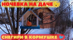 Ночёвка на даче. Снегири в кормушке. Убираю снег с отмостки