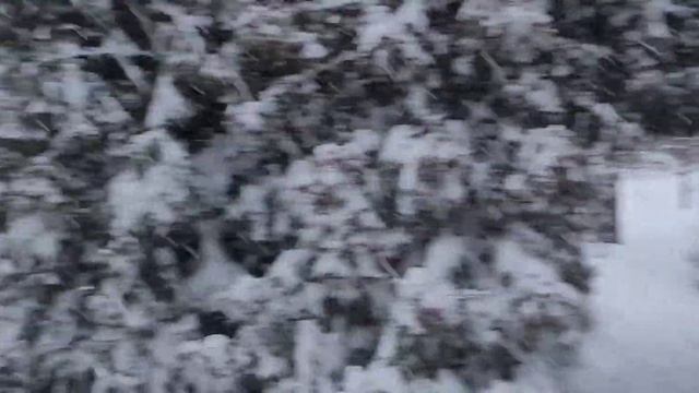 Зимняя сказка? Завалило снегом смотреть онлайн