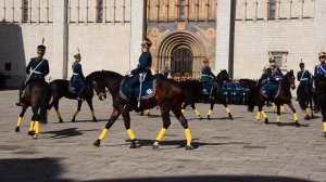 Драгуны русской армии