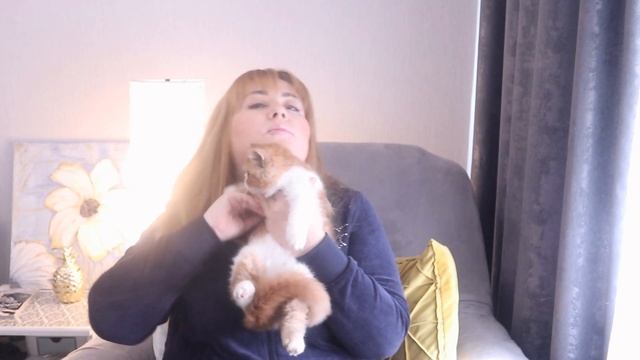 Как победить депрессию и зажор. Мой способ. смотреть онлайн