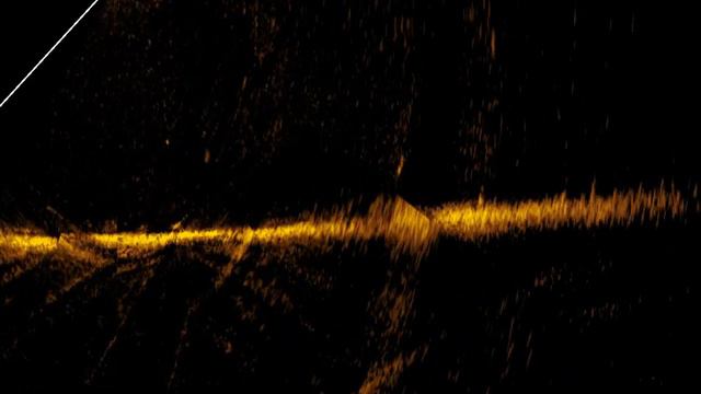 Судак атакует приманку в Актив Таргет. Zander Attack In Lowrance Active Target
