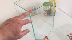 Инкубатор для Артемии