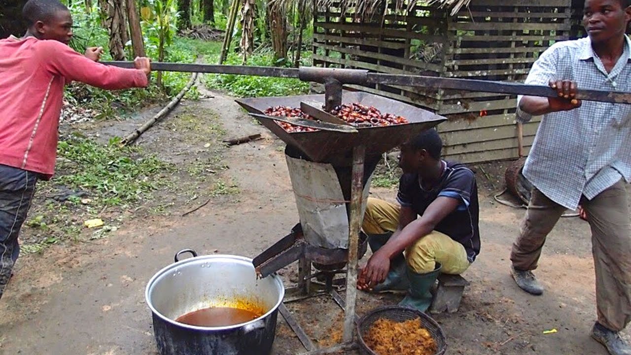 Пальмовое масло/ Palm oil /  Почему оно такое дешевое