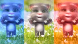 ?Tik Tok Baby Tom Dance