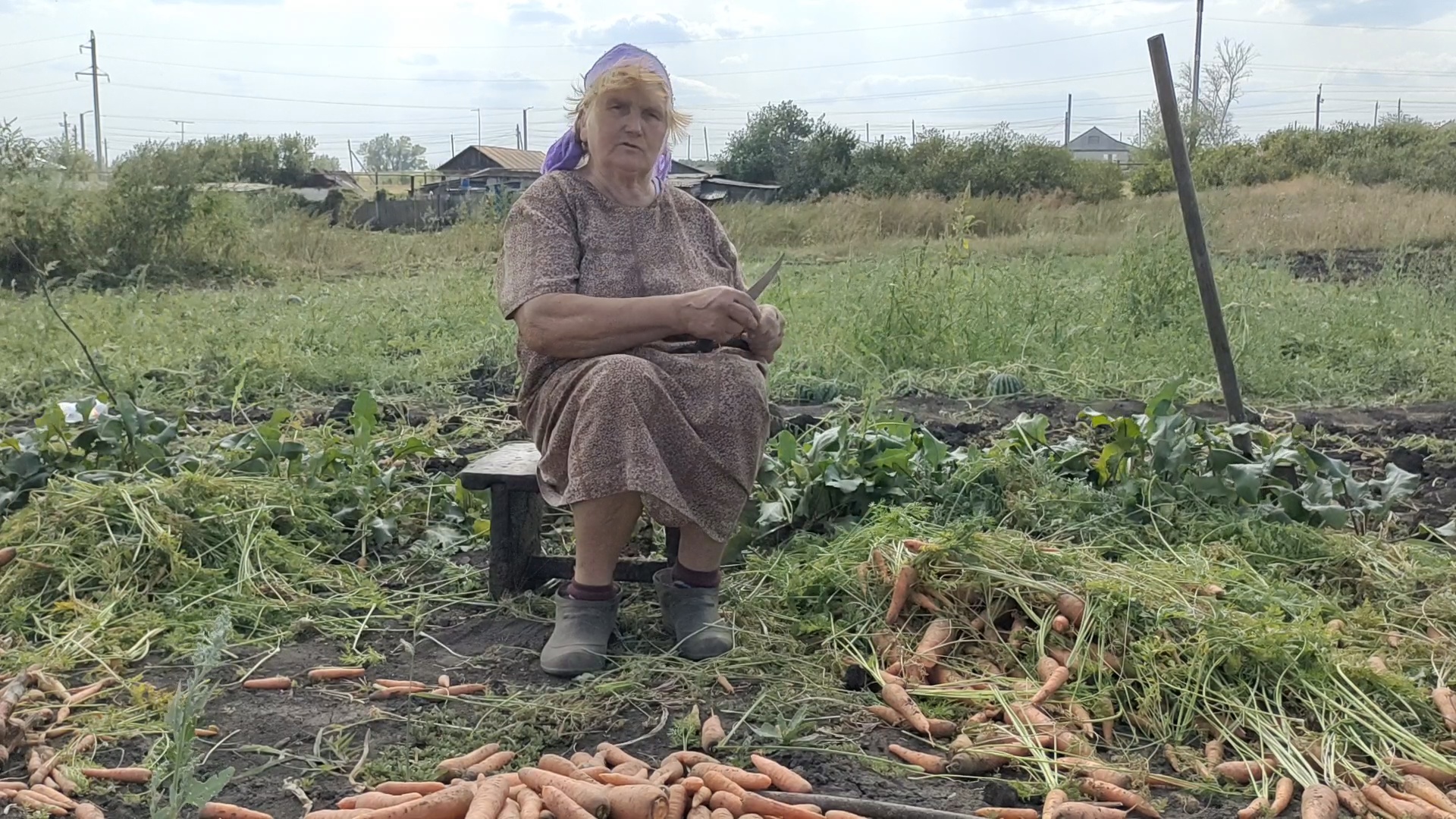 Бабка 3 видео. Мак в огороде у бабушки. Насилие бабушки в огороде. Бабка 3.