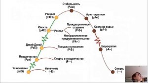 Ключевые этапы жизненного цикла организаций и методы управления