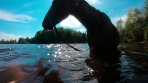 КУПАЮСЬ С ЛОШАДЬЮ в озере! / Конное SLOW MO в ВОДЕ