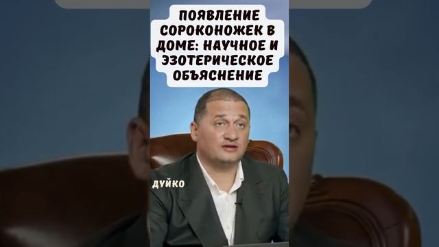 Почему появляются сороконожки в доме: научное и эзотерическое объяснение #эзотерика #дуйко