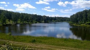 Поиск грибов в Раздольном