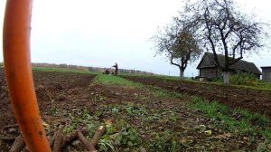 Пашем мотоблоком  мтз на всех парах . Осенняя вспашка + целина