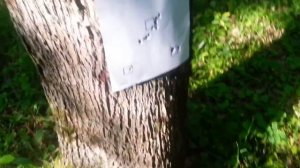 EDgun matador long 6.35 mm Стрельба на 113 м