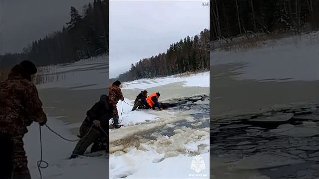 В Тверской области на озере Плоское лось и лосёнок провалились под лёд.