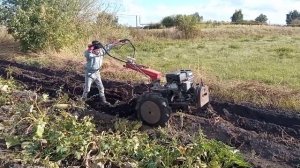 8 сентября 2021 г. Мотоблок мб-90.