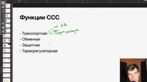 6.55. Функции сердечно-сосудистой системы | Анатомия к ЕГЭ | Георгий Мишуровский