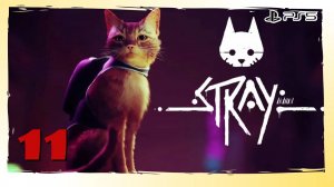 Прохождение Stray (PS5) - Часть 11