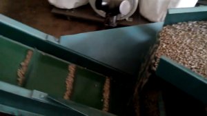 GRAND 350. Пресс - гранулятор для производства комбикорма