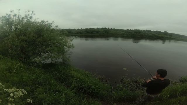 Рыбалка на р.Луга. Щука монстр. Китайская живцовая снасть. смотреть онлайн