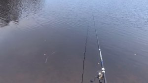 Трофей утащил снасть! Рыбалка на Юхоти