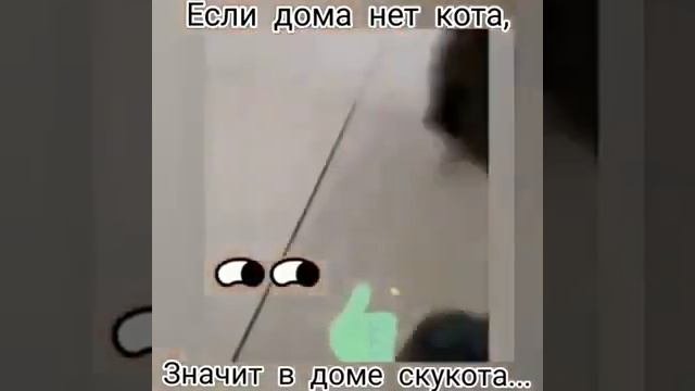 Если в доме нет кота значит в доме скукота